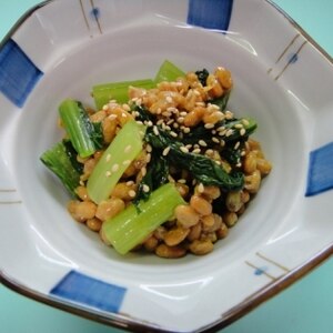 腸活レシピ♪小松菜と納豆のからし和え